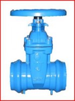 socket end resilient wedge gate valve 